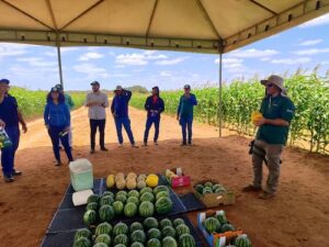 HM.CLAUSE reforça compromisso com a exportação de melão e melancia no Experience Day 2025