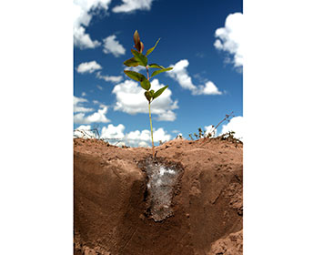 Quando a chuva falta, a ciência entra em campo
