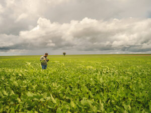 Clima instável eleva a importância de biodefensivos na lavoura de soja