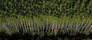 Loveland amplia atuação no segmento florestal com tecnologias de alta performance