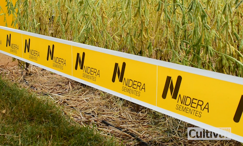  Nidera Sementes tem impulsionado a produção de soja e milho no Brasil há 20 anos