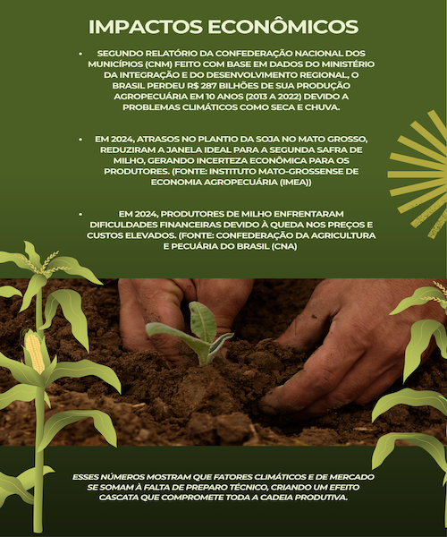 Antes de plantar: o que o produtor precisa saber para garantir produtividade e evitar prejuízos