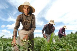 Crédito rural do Pronaf com mais oportunidades em Unidades de Conservação e fortalece a transição climática em 30 milhões de hectares