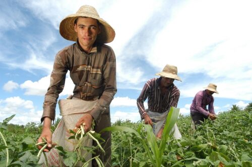 Crédito rural do Pronaf com mais oportunidades em Unidades de Conservação e fortalece a transição climática em 30 milhões de hectares