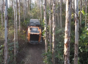 Roçada mecanizada: o futuro da silvicultura já começou