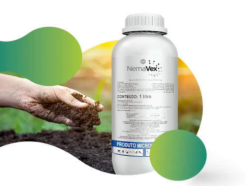  Combate aos nematoides ganha nova biotecnologia