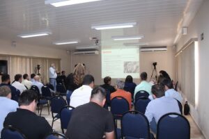 Safra paulista de trigo deve ultrapassar 400 mil toneladas em 2025