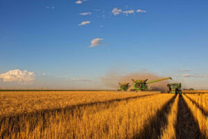 Syngenta conecta inovação e produtividade para impulsionar produtividade da safra de trigo 25/26