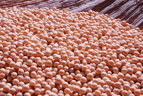 La Niña pode reduzir chuvas no Sul e exigir atenção dos sojicultores
