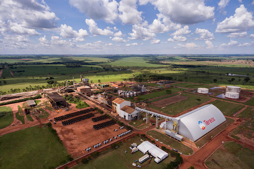 Tereos na COP30: Empresa fecha parceria com Amazônia Vox e marca presença na Conferência das Partes