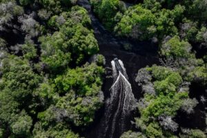 Amazônia é destaque em campanha mundial de publicidade da Volvo Penta