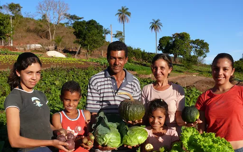  Conexsus celebra sanção de lei que transforma Pronaf e Plano Safra em política de Estado, mas alerta para desafios na inclusão da sociobiodiversidade
