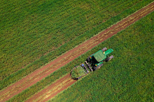 Mapeamento inédito revela poder do amendoim no Brasil Estudo da ABEX-BR quantifica a cadeia do amendoim e confirma: Brasil é o 3º mais eficiente do mundo em produtividade