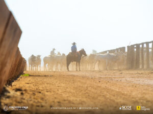 ADAMA participa da nova etapa do Circuito Cria e acompanha manejo de pastagens e sistemas de produção em seis estados