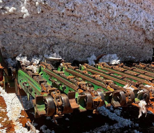 Bayer doa caminhão transmódulo para fortalecer agricultura familiar e produção de algodão no Norte de Minas