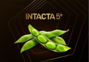Bayer lança marca Intacta 5+: nova geração de biotecnologia para soja com foco em produtividade, manejo customizado e sustentabilidade