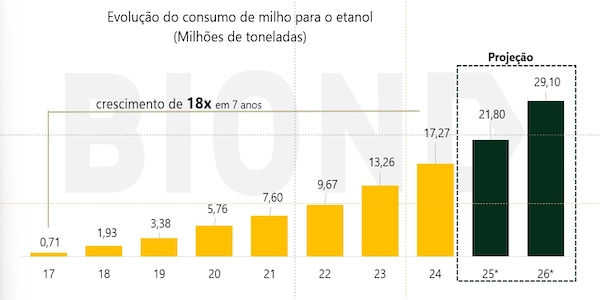Safrinha de milho: estoques cheios e boa perspectiva de safra mantém pressão sobre o grão no curto prazo