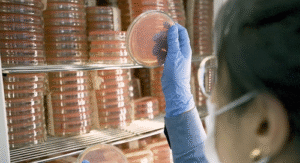 Biotrop é uma das 10 empresas mais inovadoras do país