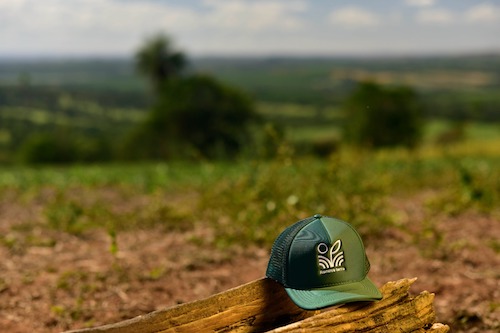 Programa da CJ Selecta será apresentado na COP 30 como modelo de agricultura regenerativa para o Cerrado brasileiro