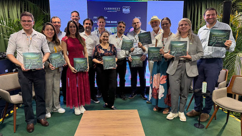 Publicação coletiva lançada na COP30 aprofunda debate sobre o mercado de carbono
