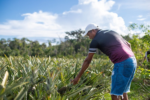 Conexsus reúne lideranças do Sul Global na COP30 para debater avanços da sociobioeconomia