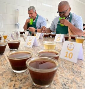 Safra 2025: cafés recebidos pela Coopercam surpreendem pela qualidade