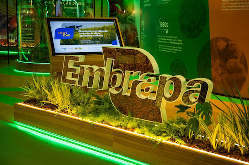 COP 30: pesquisadores da Embrapa Cerrados destacam soluções sustentáveis na Agrizone
