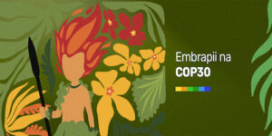 COP30: Embrapii participa de atividades sobre inovação na indústria