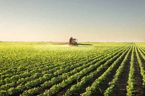Irregularidade das chuvas desafia produtores de soja e impulsiona adoção de soluções biotecnológicas