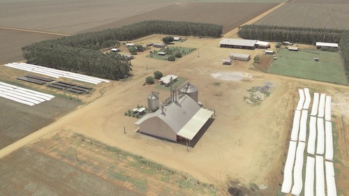 Com 268,4 sc/ha, agricultor de Mato Grosso é o grande destaque nacional na colheita de milho