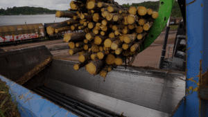 Hardox® HiAce revoluciona a eficiência e a sustentabilidade na indústria de papel e celulose