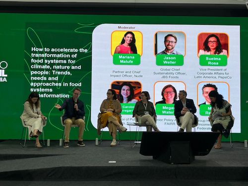 Papel do setor privado se destaca na solução climática, diz diretor global de Sustentabilidade da JBS