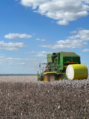 Fazenda de Mato Grosso recebe prêmio na Alemanha 