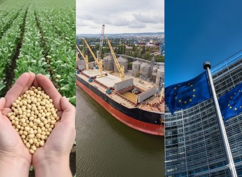 Justoken lança o T&S Explorer para escalar a rastreabilidade e a conformidade ambiental dos grandes exportadores e cooperativas agroindustriais