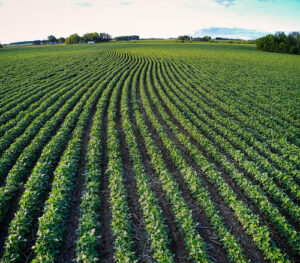 Tecnologia aplicada no setor elétrico também pode ser utilizada no agronegócio brasileiro