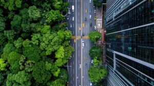 Da oficina à Amazônia: como a circularidade do óleo lubrificante conecta cidades e clima na COP30