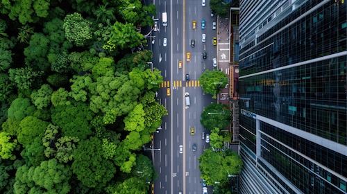 Da oficina à Amazônia: como a circularidade do óleo lubrificante conecta cidades e clima na COP30