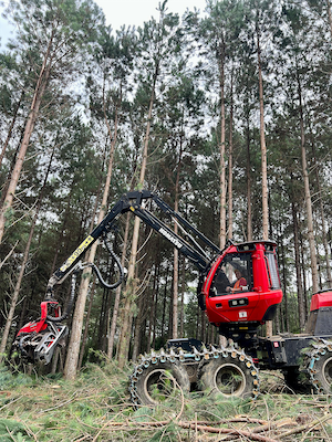 Black Mills traz ofertas exclusivas de equipamentos seminovos