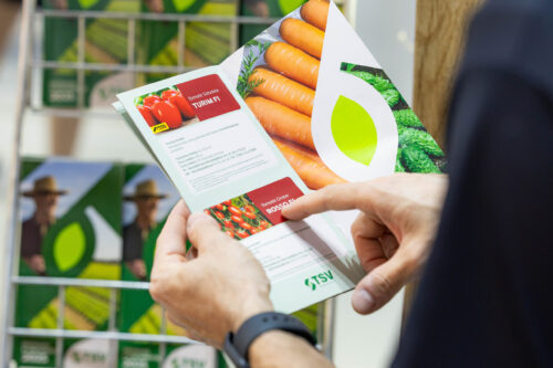 TSV Sementes inicia nova fase com portfólio ampliado