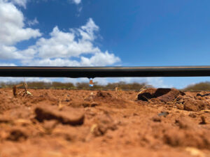 Mesmo em intensidade amena, La Niña reforça cenário de incertezas climáticas e alerta para manejo hídrico no agro, avalia especialista