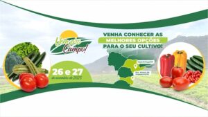 Dias de campo inovadores levam novas tecnologias e práticas de manejo para produtores de SP e SC