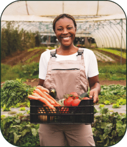 Programa Acelerando Hortas recebe inscrições até dia 24/11