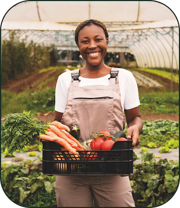 Programa Acelerando Hortas recebe inscrições até dia 24/11