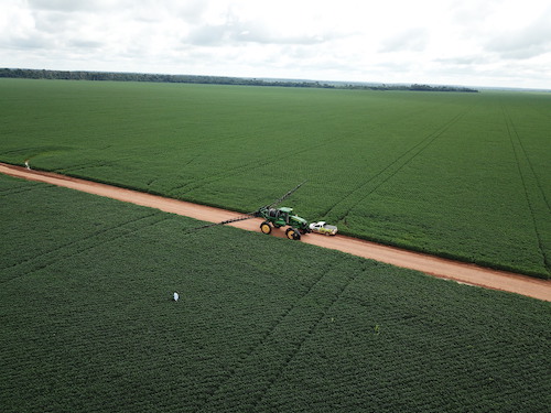  Atenção à inoculação e nutrientes no sulco de plantio