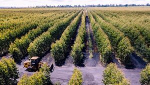 Seis vezes campeã: Aperam BioEnergia lidera ranking dos lugares mais incríveis para trabalhar no agro