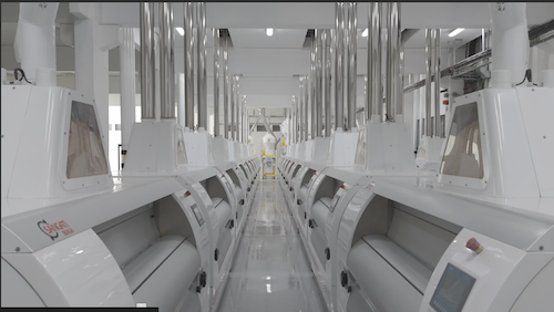  Selmi amplia capacidade de armazenagem de trigo no Paraná e reforça aposta em eficiência e qualidade