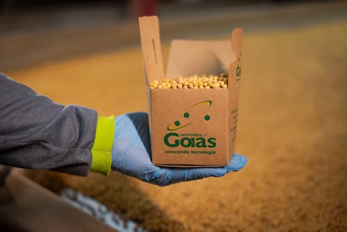 Sementes Goiás acelera modernização e amplia capacidade produtiva em Rio Verde (GO) Sementes Goiás acelera modernização e amplia capacidade produtiva em Rio Verde (GO)