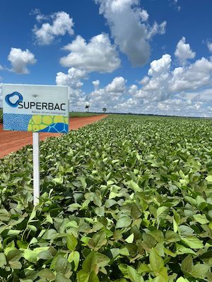 Superbac ingressa no mercado de biodefensivos com lançamento de nova linha de produtos