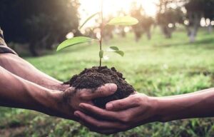 COP30 no Brasil: cinco soluções inovadoras para agricultura sustentável e segurança alimentar global