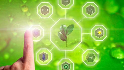  COP30 no Brasil: cinco soluções inovadoras para agricultura sustentável e segurança alimentar global